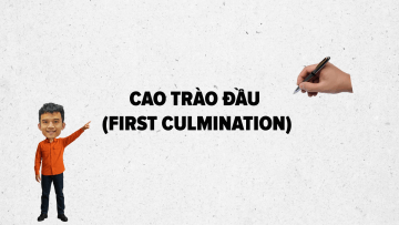 video_24c_1769074578